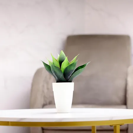 Dina House Διαμέρισμα *